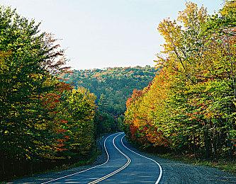 未登Steam“身先死”《星球大战：猎人》10月停服